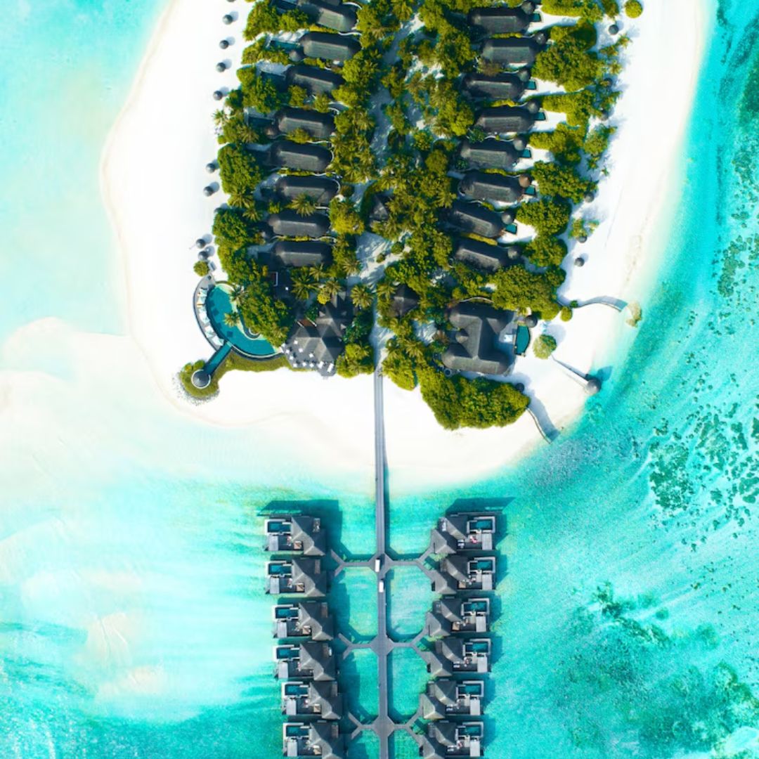 Sustainable Luxury: Commitment to Conservation