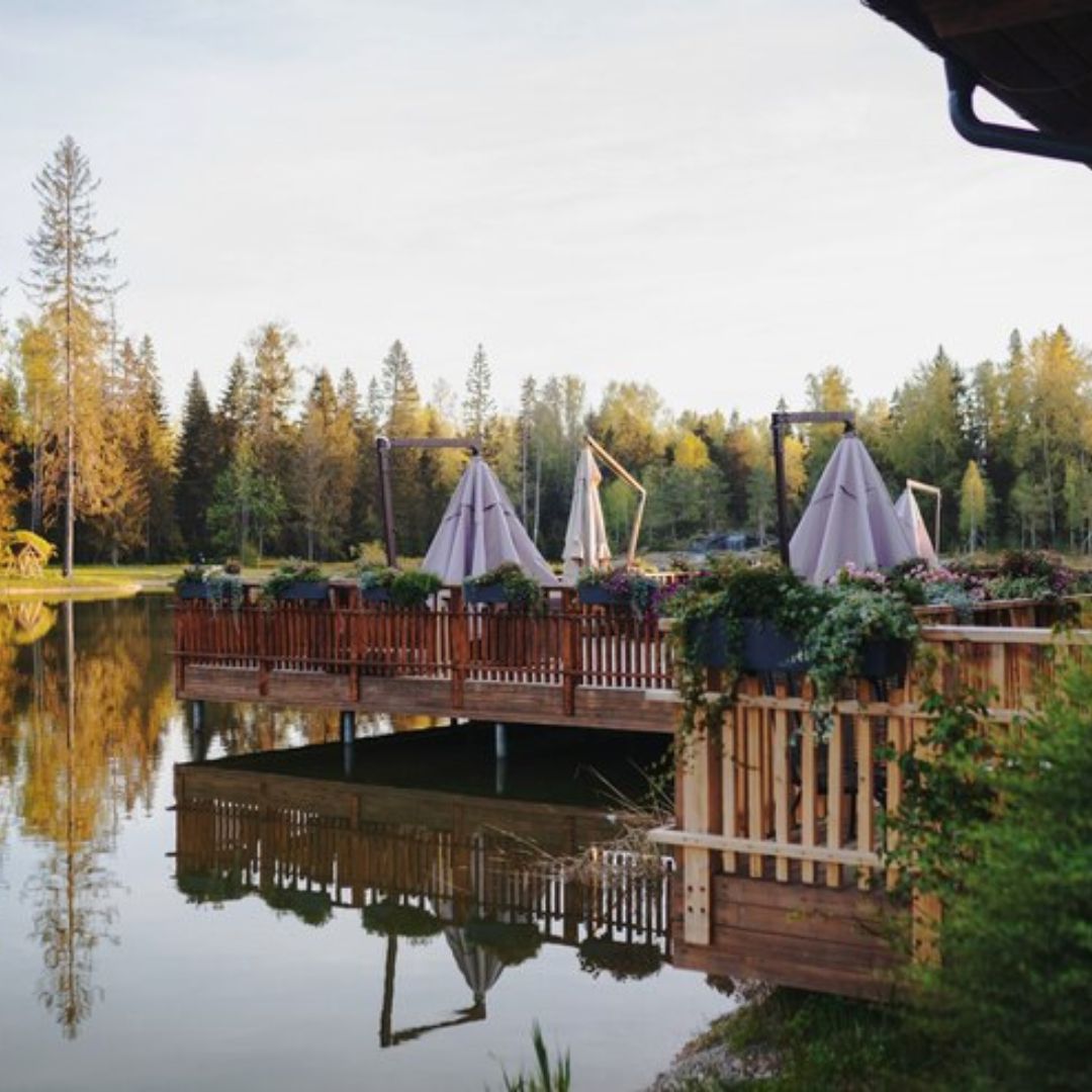 Culinary Excellence: Farm-to-Table Philosophy