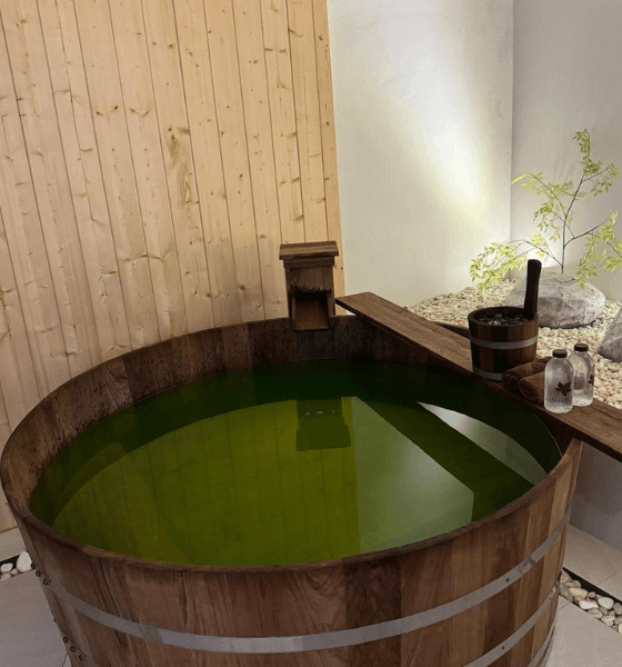 Momiji Onsen & Spa — Spa Awards visual archive 4